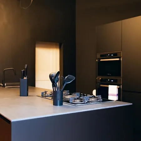 公寓 Private Parking Centro Storico: L'affresco 博洛尼亚